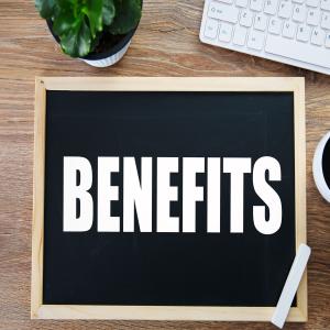 Independent Auditors Report USPS Benefits 2025 Cover